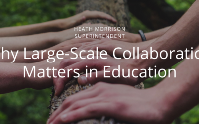 Why Large-Scale Collaboration Matters in Education